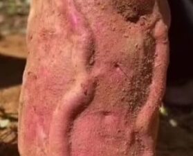 Rahasia Leluhur: 4 Metode Tradisional Memperbesar Kelamin secara Alami dan Aman”