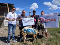 BRINS Tebar Kebaikan Idul Adha, SAPANA Siap Distribusi Qurban